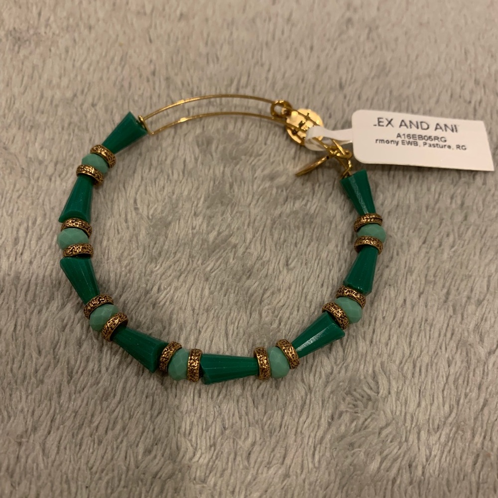 Alex and Ani bracelet